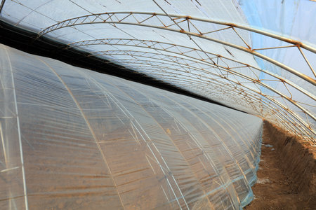 Interior landscape of double layer plastic greenhouse in Chinaのeditorial素材