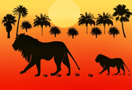 Lion and young lion on walk in Africaの写真素材