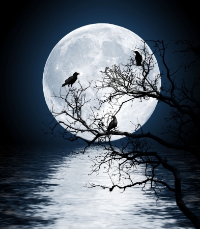 Ravens sitting on a tree shined with the full moon の写真素材