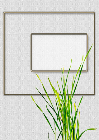 Green grass