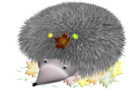 prickly hedgehog in autumn leavesの写真素材