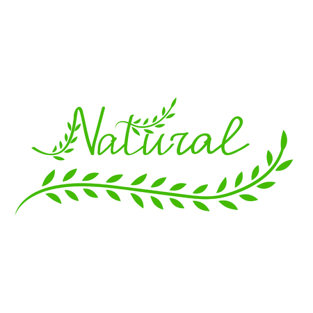 Natural green lettering. Eco friendly concept. ecology nature design.のイラスト素材