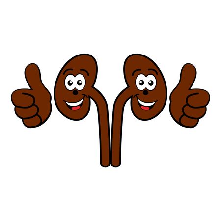 Happy smiling cartoon kidneys vector icon isolated on whiteのイラスト素材