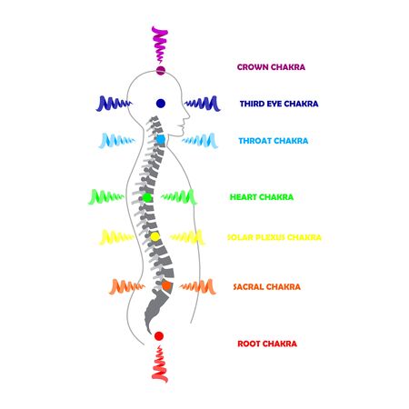 Man silhouette with active shining chakras isolated on the white background vector illustrationのイラスト素材