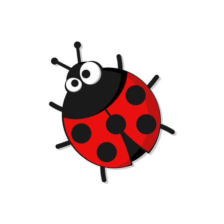 Cartoon ladybug isolated on white background. Vector illustrationのイラスト素材
