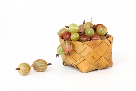 gooseberry in a basket of birch barkの写真素材