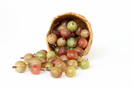 gooseberry spill out of the basket of birch barkの写真素材