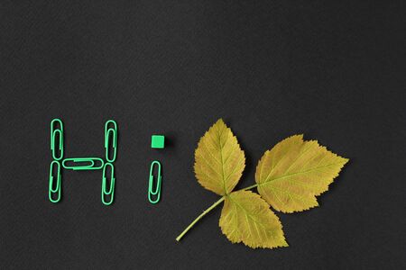 Back to school concept. Autumn leaf and paper clips of yellow and green color on a black background.の写真素材