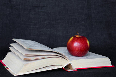 Back to school concept banner. Red apple on the open pages book. Copy space text. Black background