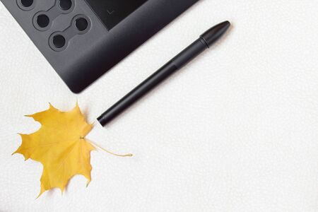 Graphic tablet, digital stylus and colorful autumn maple leaf on a white background with place for text.の写真素材