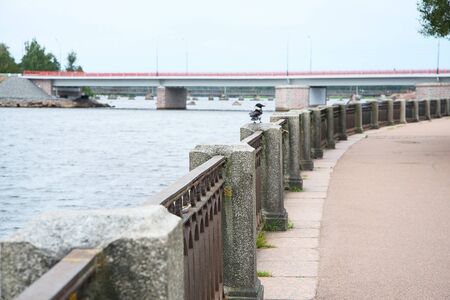 View of the embankment of St. Petersburg.Image with shallow depth of field.の写真素材