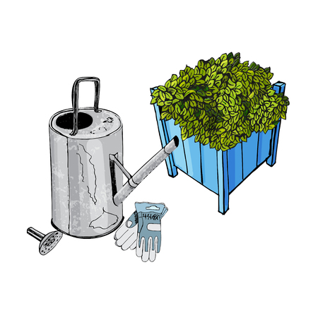 Composition with rusty watering can, gloves and blue garden wood pots with ajuga flowers. Sketch. Vector illustration. Hand drawn.のイラスト素材