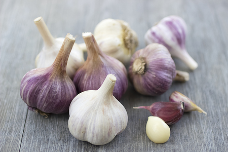 Whole garlic on a gray wooden table. Soft focus.の写真素材