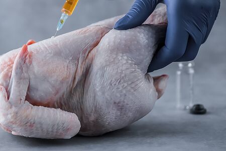 Chicken, hands with a syringe, an antibiotic and hormones. Gray background. Soft focus.の写真素材