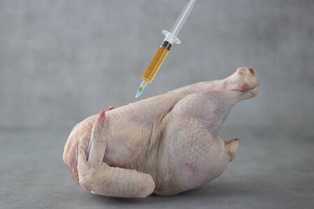 Chicken, syringe,  antibiotic and hormones. Gray background. Soft focus.の写真素材