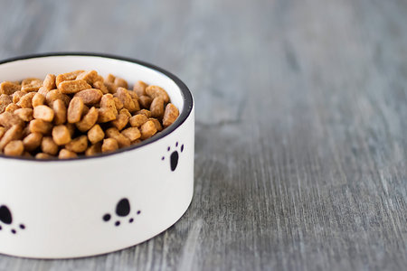Dry cat food in a white bowl. Soft focus.
