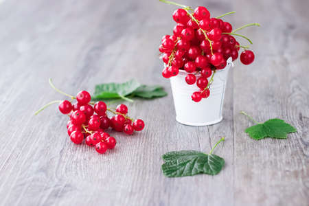 Bright red berries of red currant in a white metal bucket on a gray background. Soft focus.の写真素材
