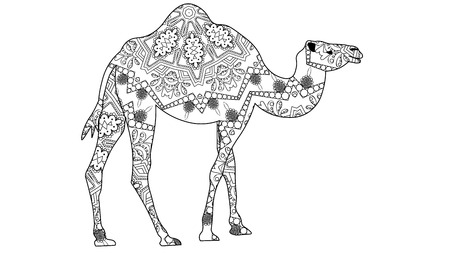 Vector anti stress coloring book page for adult with animal: camel. style illustration with high details isolated on white background. monochrome sketch line artのイラスト素材