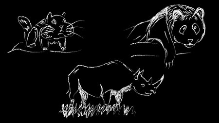 Vector illustration Rhinoceros panda hamster drawn chalk on a black backgroundのイラスト素材