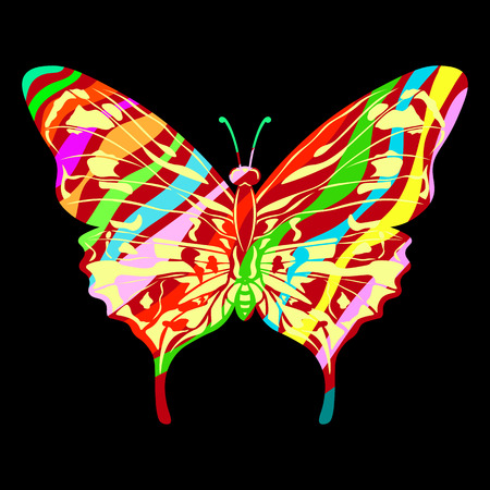 Butterfly in different colors on black background.のイラスト素材