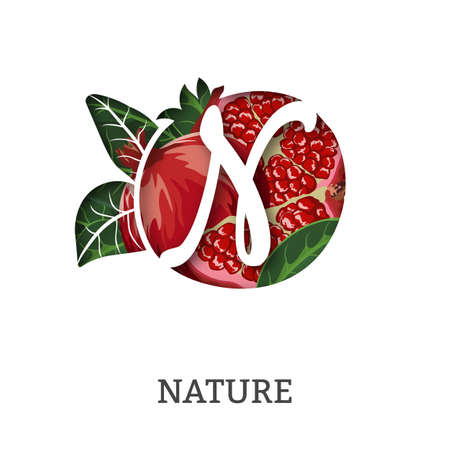 nature pomegranate paper letter N. Whole pomegranate with half, leaves.のイラスト素材