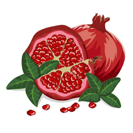 Whole pomegranate with half, leaves isolated on white background.のイラスト素材