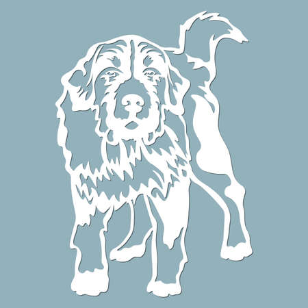 Bernese Mountain Dog - vector isolated illustration for laser cutting...のイラスト素材