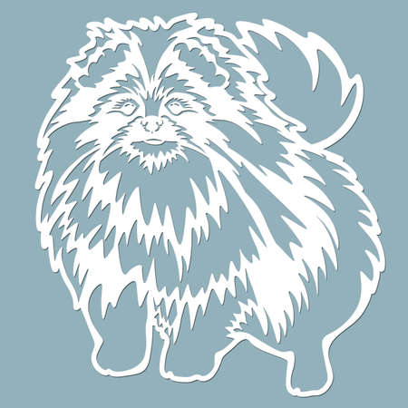 Pomeranian Pomeranian - vector isolated illustration for laser cutting...のイラスト素材