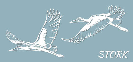 vector illustration. Stork in flight. wildlife. Vector isolated illustration for laser cutting. Tattoo.のイラスト素材