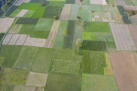 The farmers are now in the floricultureの写真素材