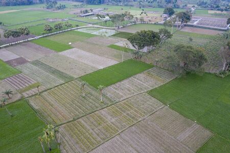 The farmers are now in the floricultureの写真素材