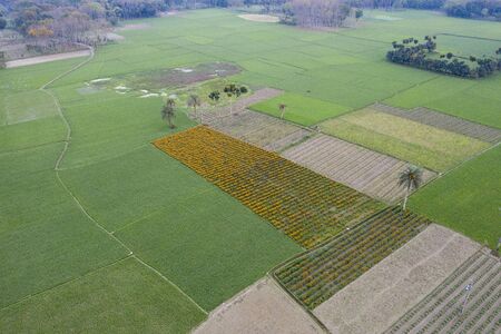 The farmers are now in the floricultureの写真素材