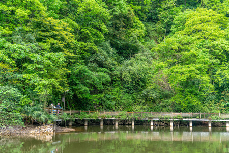 Green water and long bridge in qingcheng mountain, sichuan, Chinaのeditorial素材