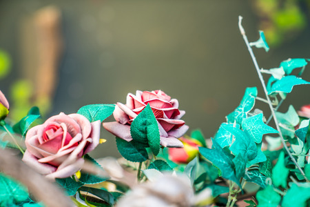 A delicate rose made of ironの写真素材