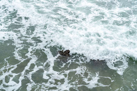 Volcanic rocks and reefs on the coastの写真素材