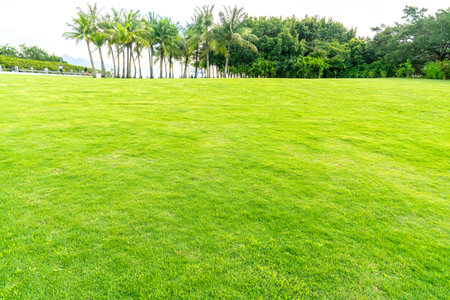 Park in Shenzhen, Guangxi Province, Chinaの写真素材
