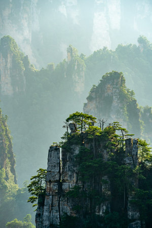 Mist covers the rock pillars and mountains in Zhangjiajie, with sunlight in the valley
