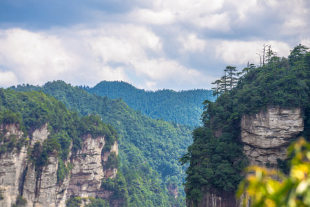 Scenic view of Zhangjiajie in Hunan, China, featuring unique mountain peaks and lush forestsの写真素材