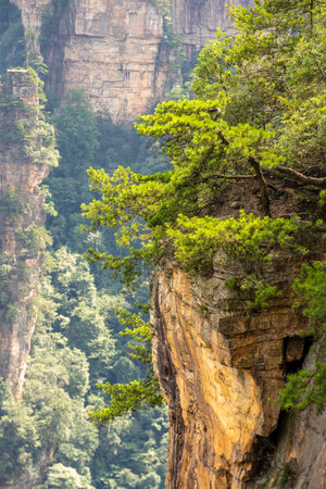 Scenic view of Zhangjiajie in Hunan, China, featuring unique mountain peaks and lush forestsの写真素材