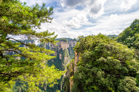 Scenic view of Zhangjiajie in Hunan, China, featuring unique mountain peaks and lush forestsの写真素材