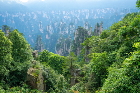 Scenery of Zhangjiajie Scenic area in Hunan Province, Chinaの写真素材
