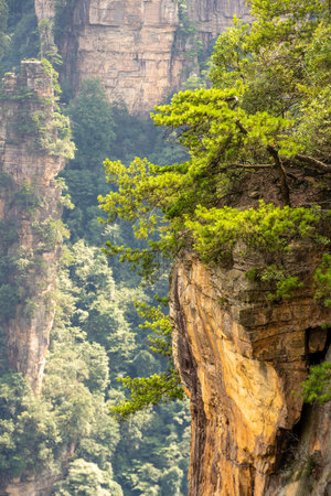 Scenery of Zhangjiajie Scenic area in Hunan Province, Chinaの写真素材