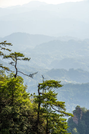 Scenery of Zhangjiajie Scenic area in Hunan Province, China