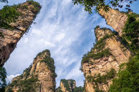 Scenery of Zhangjiajie Scenic area, Hunan Province, Chinaの写真素材
