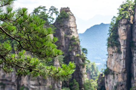 Scenery of Zhangjiajie Scenic area, Hunan Province, Chinaの写真素材
