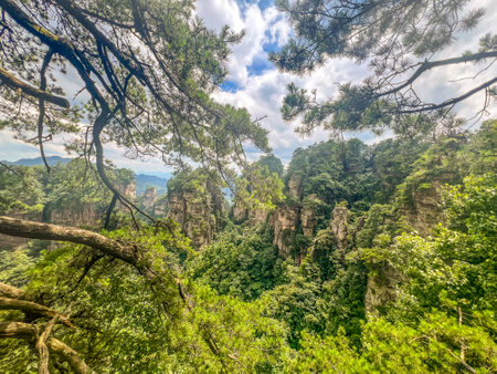 Scenery of Zhangjiajie Scenic area, Hunan Province, Chinaの写真素材