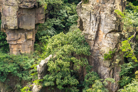 Scenery of Zhangjiajie Scenic area, Hunan Province, Chinaの写真素材