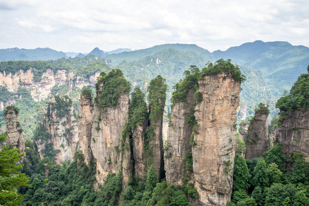 Scenery of Zhangjiajie Scenic area, Hunan Province, Chinaの写真素材