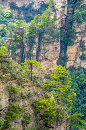 Scenery of Zhangjiajie Scenic area, Hunan Province, Chinaの写真素材