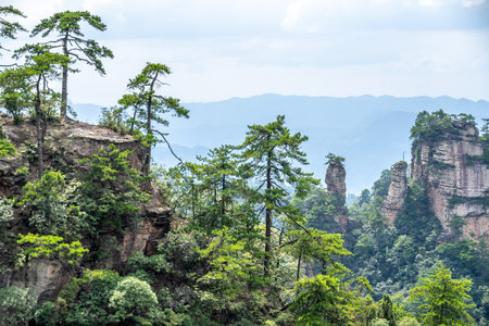 Scenery of Zhangjiajie Scenic area, Hunan Province, Chinaの写真素材
